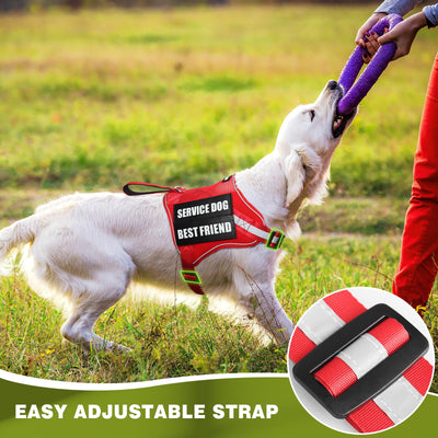 Harness for assistance dogs and emotional support dogs