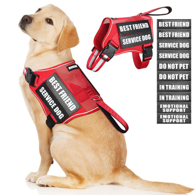 Harness for assistance dogs and emotional support dogs
