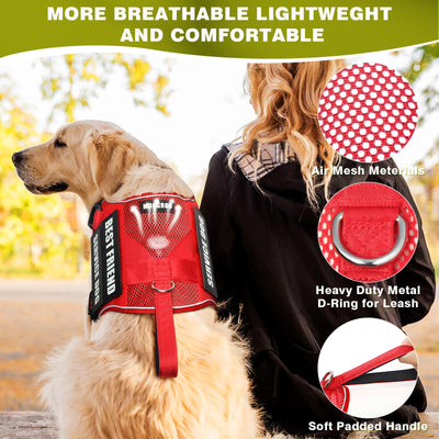 Harness for assistance dogs and emotional support dogs