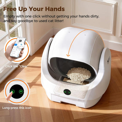 Self Cleaning Litter Box