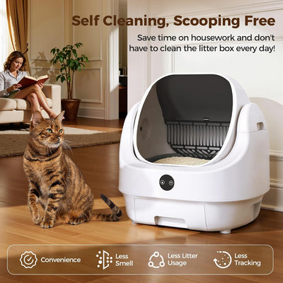 Self Cleaning Litter Box