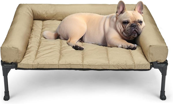 Medium Elevated Dog Bed with Removable Bolster Mat, Indoor & Outdoor